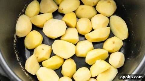 Perfect Instant Pot boiled potatoes in under 15 minutes.