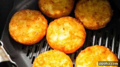 Air Fryer frozen hash browns: quick and tasty for breakfast or snacks.