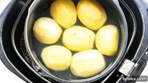 Air Fryer boiled potatoes: yes, you can cook them there with foil and hot water.