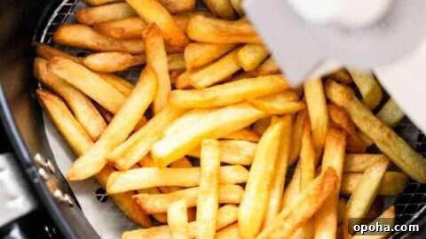 Air Fryer frozen french fries: crispy without extra fat.