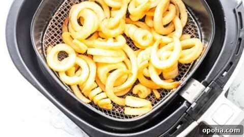Air Fryer curly fries: quick, crispy, and fun.