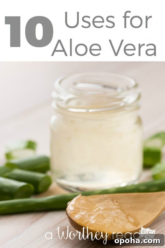 10 Practical Uses for Aloe Vera: Skin, Hair, and Home Remedies 2 There are many ways you can use Aloe Vera. Natural medicines and natural ways to cure yourself is best for you and your family. Here's 10 Uses for Aloe Vera