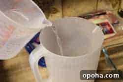Juicy Bacon-Wrapped Chicken Breast Recipe for Dinner 2 Water into pitcher