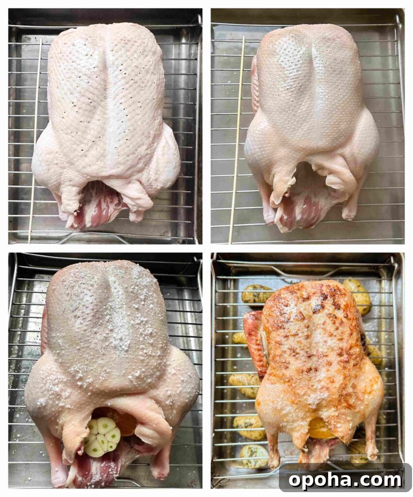 Roasted Duck with Port and Cranberry Sauce Recipe 6 Process shots of whole duck being cooked in the oven