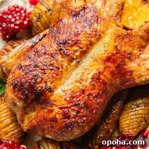Roasted Duck with Port and Cranberry Sauce Recipe 7 Close up shot of roasted duck on a platter with cranberries and potatoes