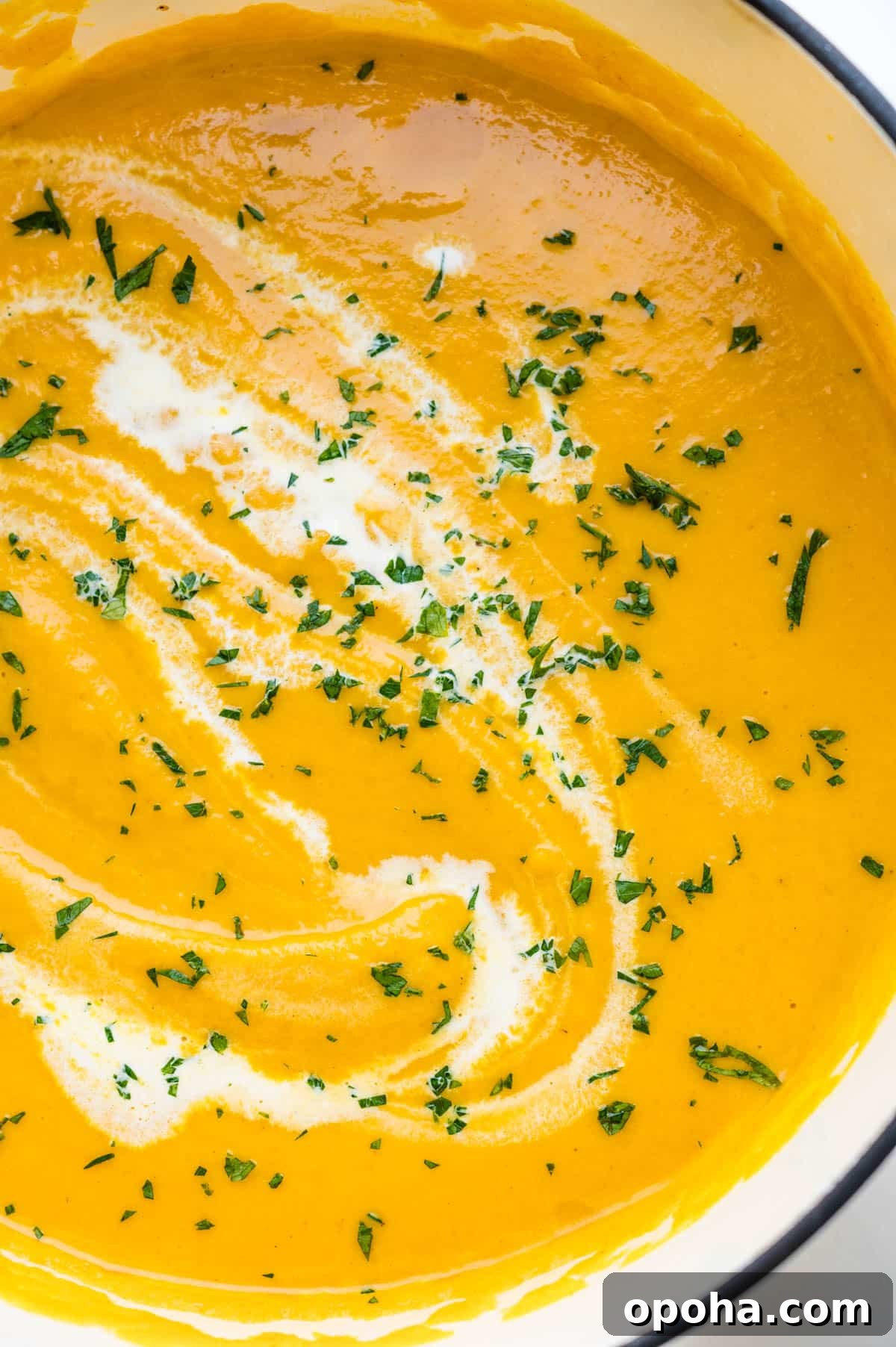 Ginger Curry Parsnip and Carrot Soup Recipe 4 carrot and parsnip soup in a Dutch oven.