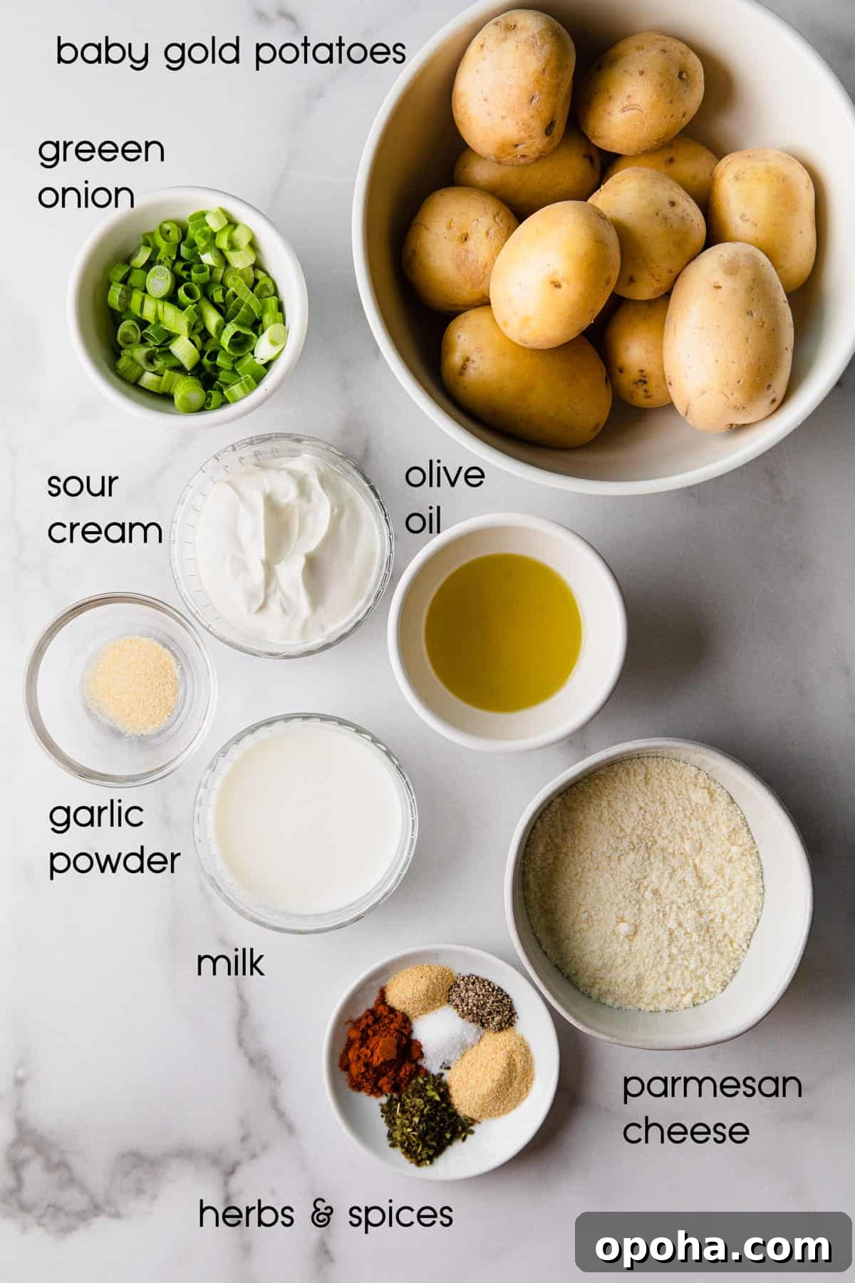 ingredients to make the recipe