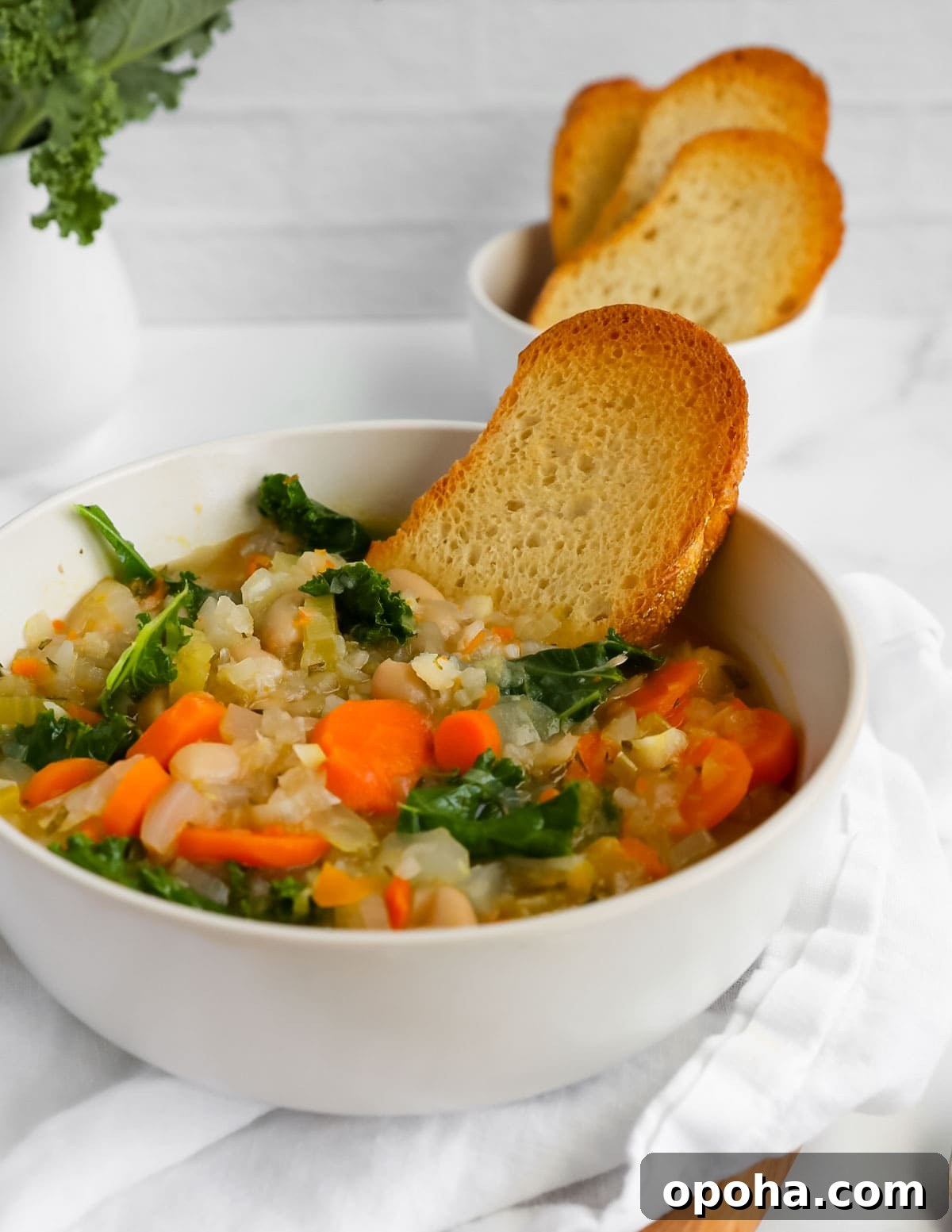 A bowl of vegetable soup with a piece of bread inside the bowl.
