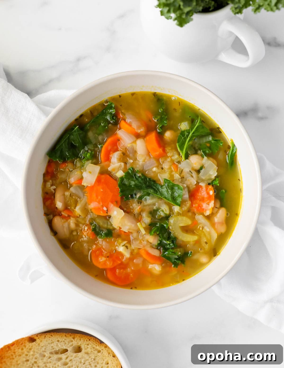 A white bowl filled with soup containing carrots, celery, beans, and kale.