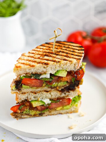 A panini with avocado, mozzarella, tomato, and basil on a white plate.