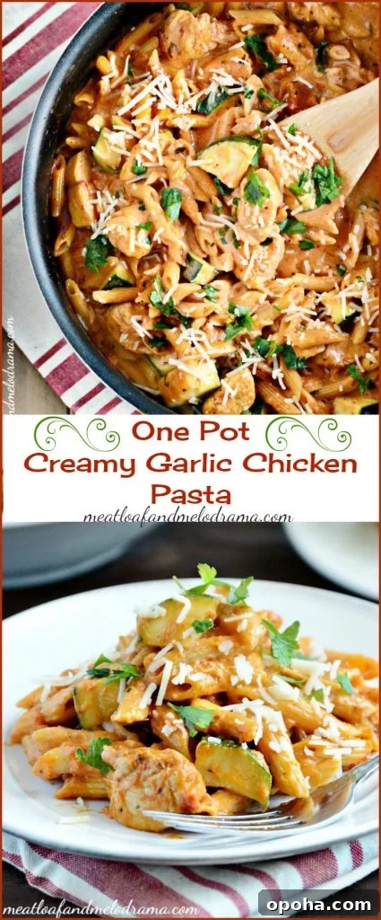 One Pot Creamy Garlic Chicken Pasta
