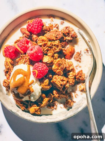 High Protein Air Fryer Granola in a bowl with yogurt, milk, berries, almond butter.