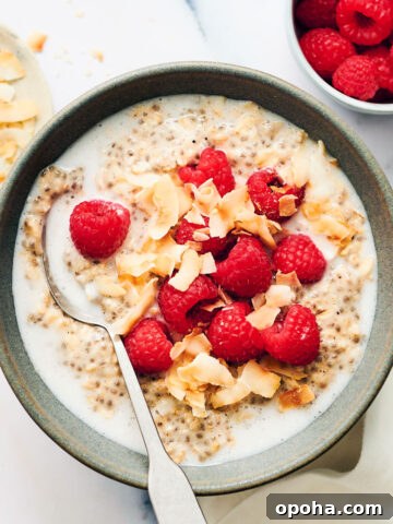 Bowl of Overnight Oats with Coconut Milk, topped with raspberries and coconut.