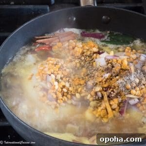 a wok full of all the shami kebab ingredients simmering on the stove