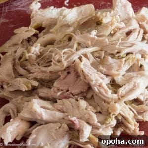 A pile of freshly shredded chicken