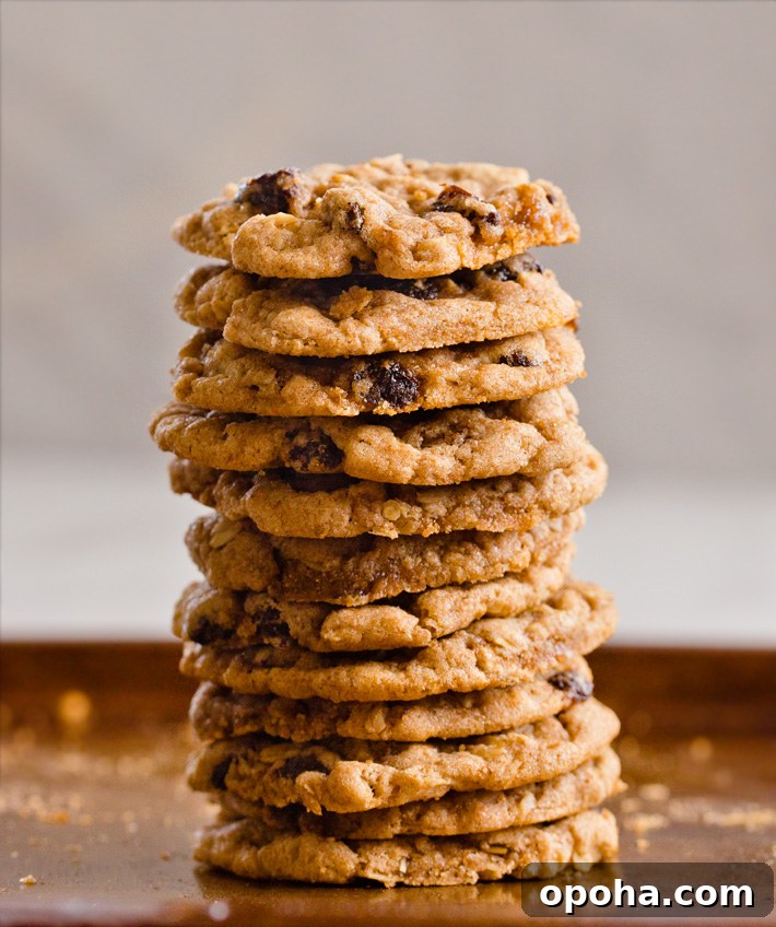 Vegan Oatmeal Raisin Cookies Vegan Oatmeal Raisin Cookies