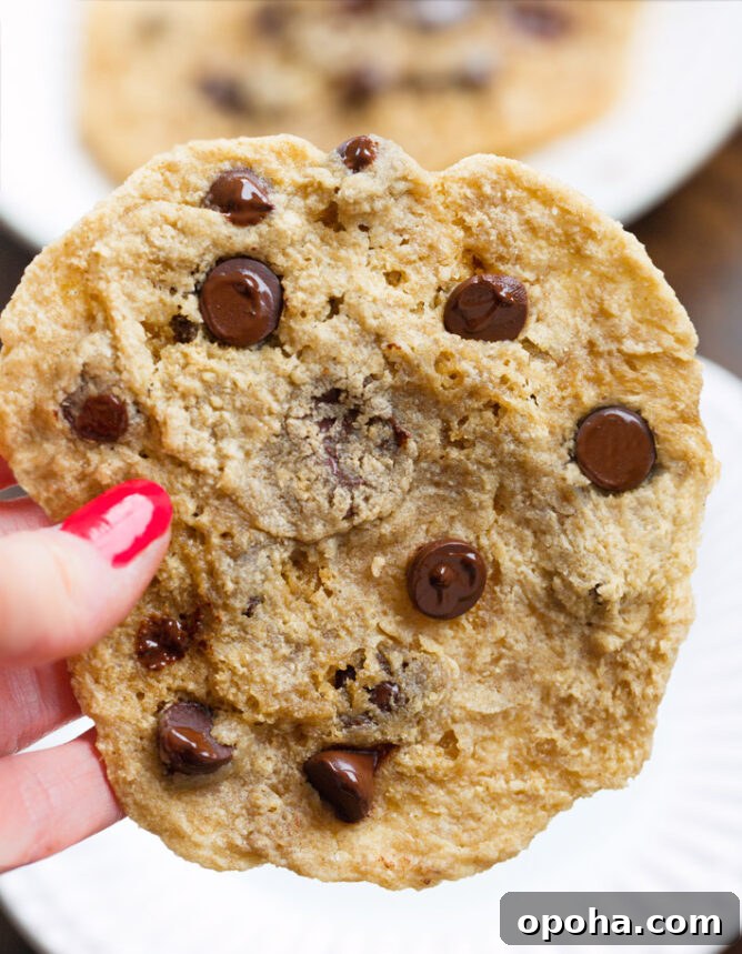Chewy Vegan Oatmeal Raisin Cookies Recipe for Perfect Bakes 5 Microwave Chocolate Chip Cookies