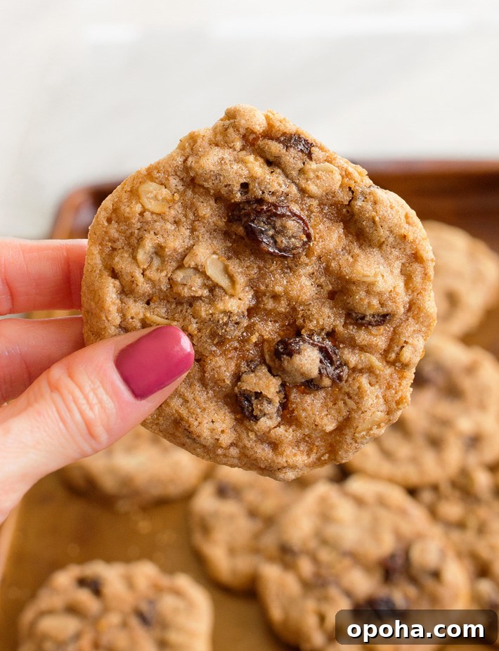 Eggless Oatmeal Raisin Cookies Eggless Oatmeal Raisin Cookies