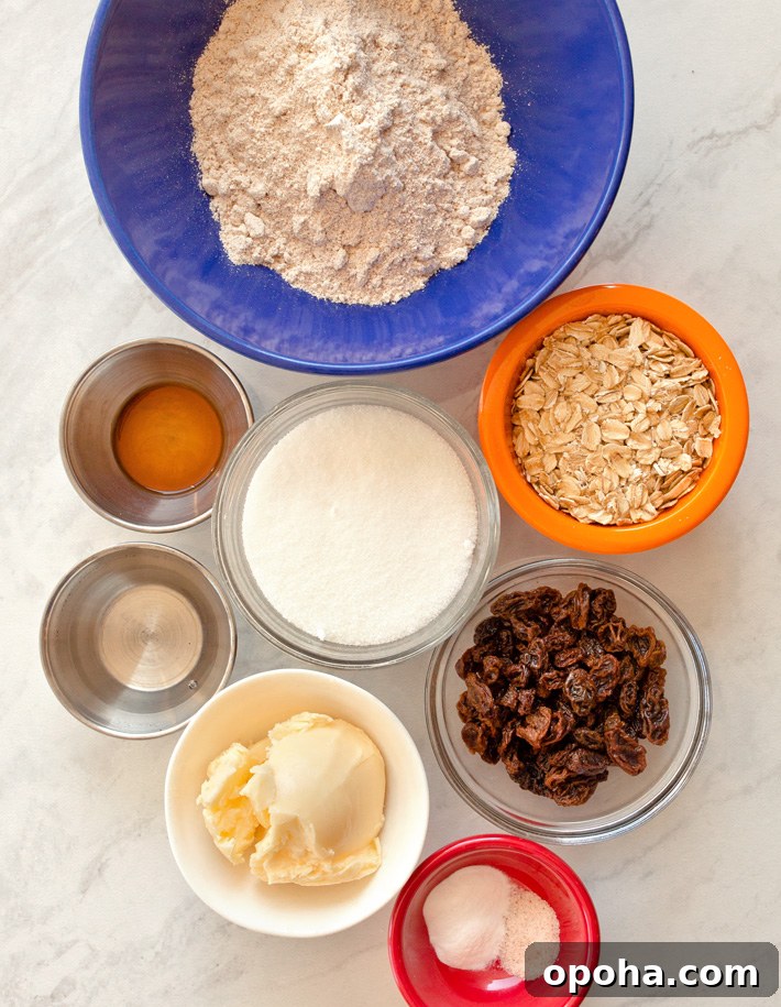 Dairy Free Oatmeal Raisin Cookie Ingredients Dairy Free Oatmeal Raisin Cookie Ingredients
