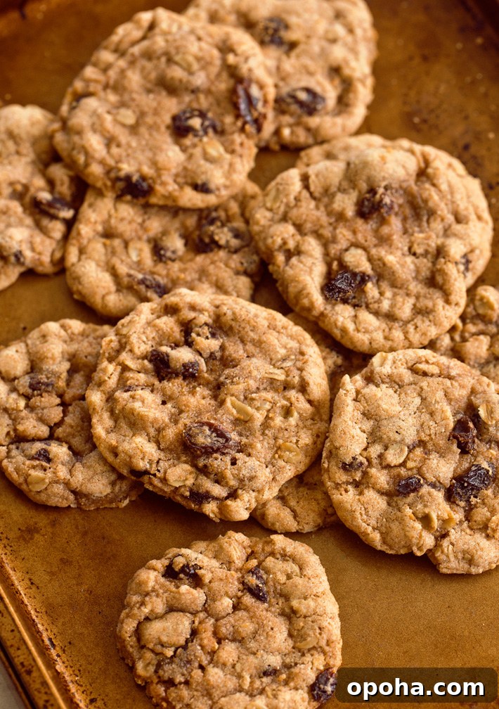 Gluten Free Vegan Cookies Gluten Free Vegan Cookies