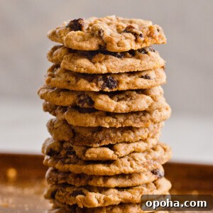 Chewy Vegan Oatmeal Raisin Cookies Recipe for Perfect Bakes 3 Vegan Oatmeal Raisin Cookies Recipe