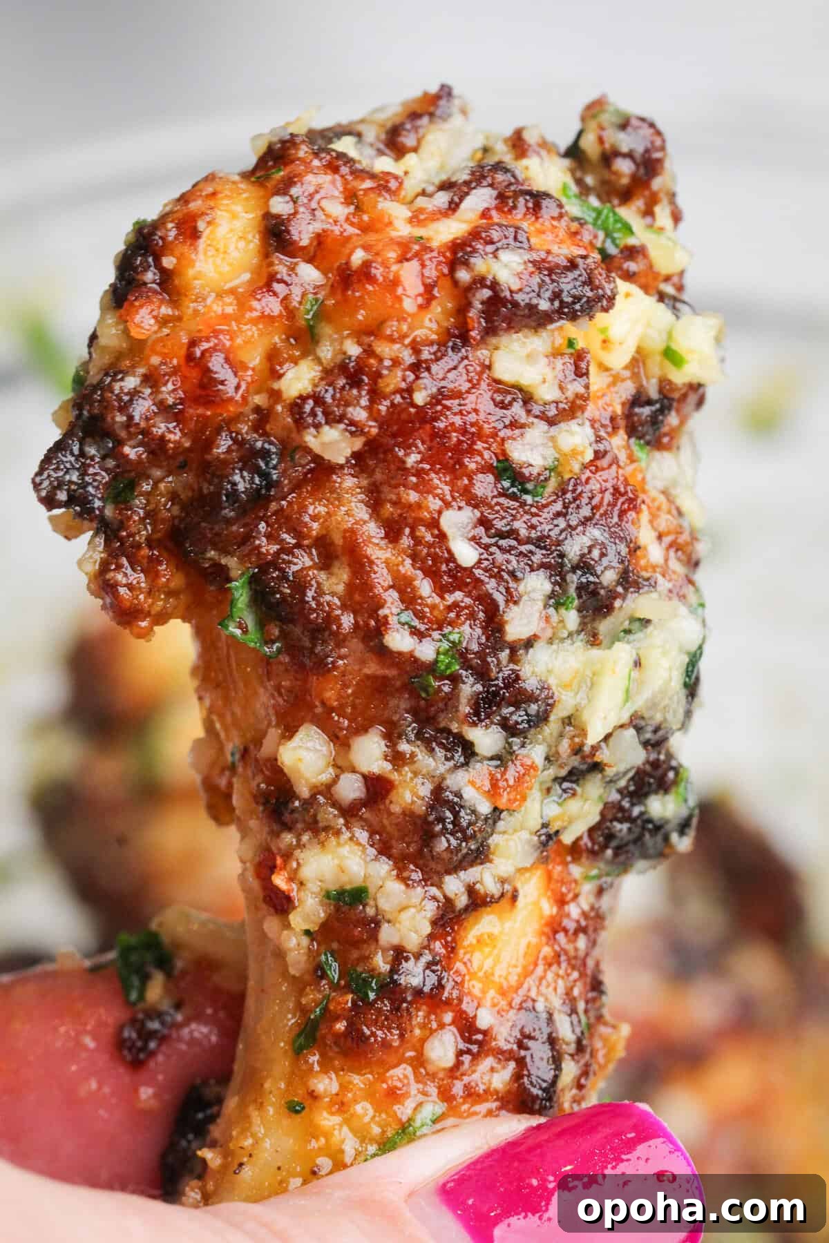 Crispy Air-Fried Lemon Pepper Ranch Chicken Tenders 12 air fried chicken wings
