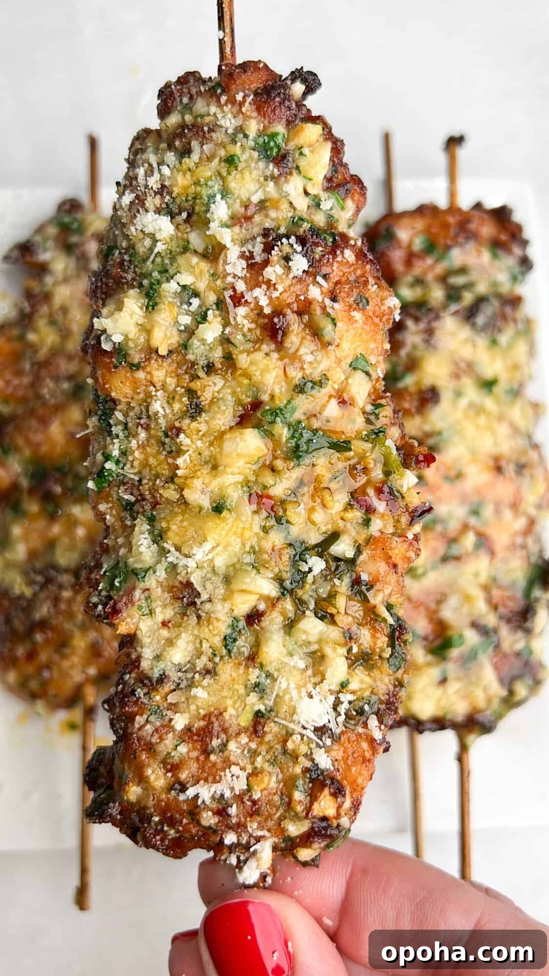Crispy Air-Fried Lemon Pepper Ranch Chicken Tenders 13 Garlic Parmesan Chicken Skewers
