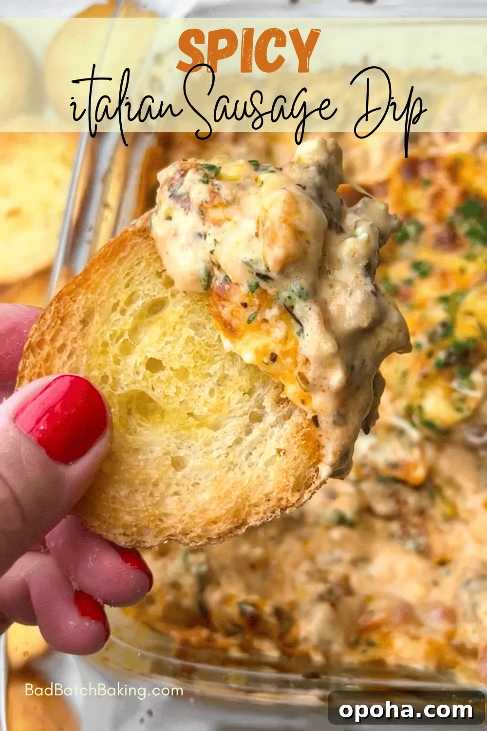 Crispy Air-Fried Lemon Pepper Ranch Chicken Tenders 14 Spicy Italian Sausage Dip