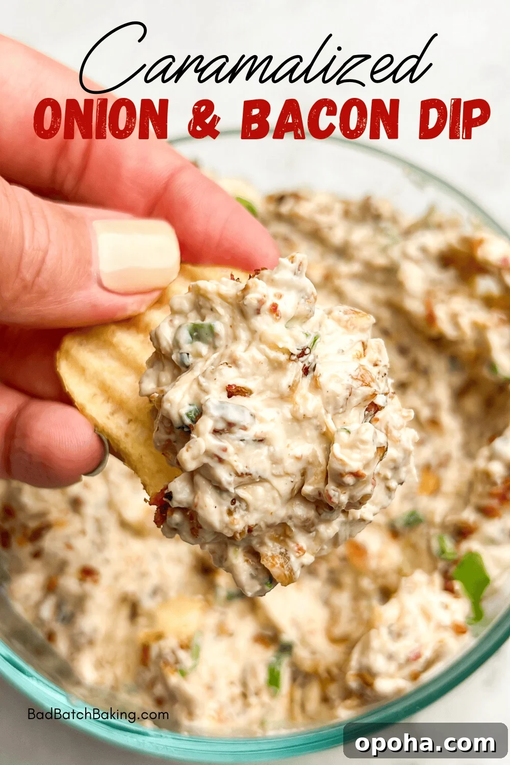 Crispy Air-Fried Lemon Pepper Ranch Chicken Tenders 15 Caramelized onion and bacon dip