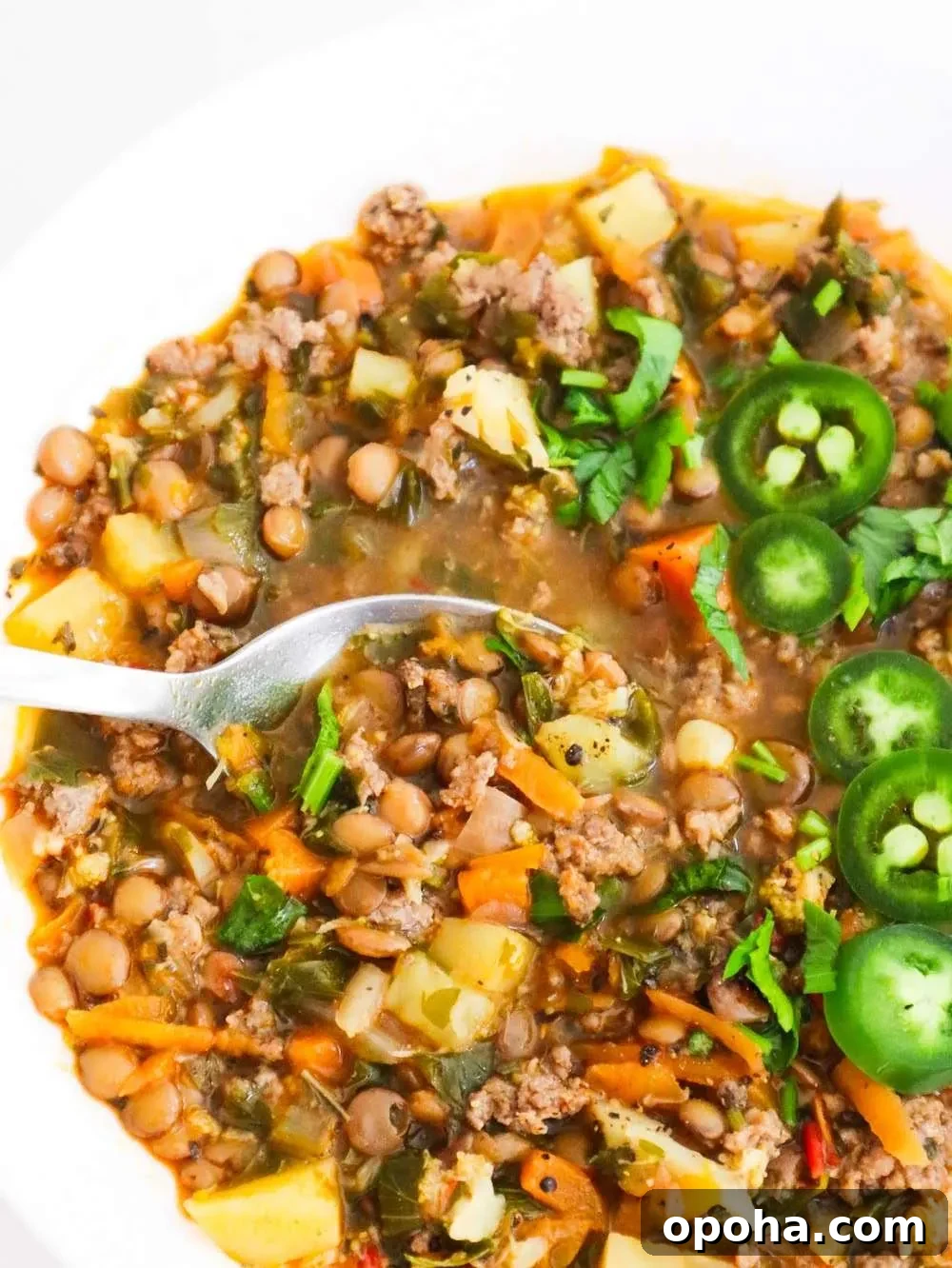 Ever wondered whether you can make a soup with lentils and beef? Well, now you know - this ground beef and lentil soup recipe exists and it's super good. It's easy to make and pretty healthy too, also very rich in two things: iron and protein!
