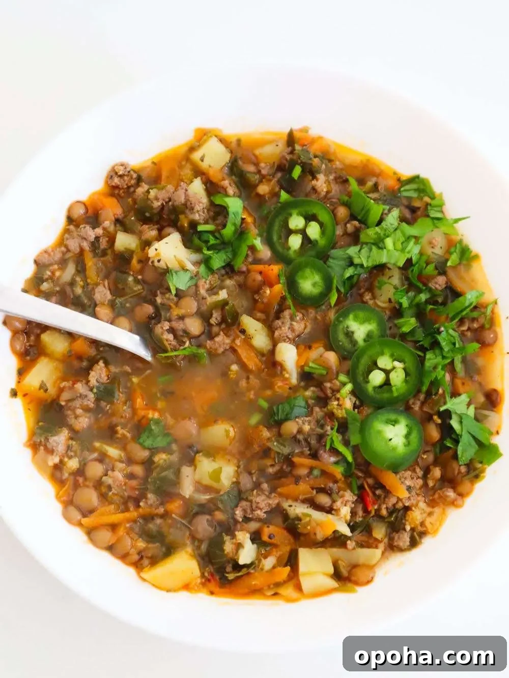 Ever wondered whether you can make a soup with lentils and beef? Well, now you know - this ground beef and lentil soup recipe exists and it's super good. It's easy to make and pretty healthy too, also very rich in two things: iron and protein!