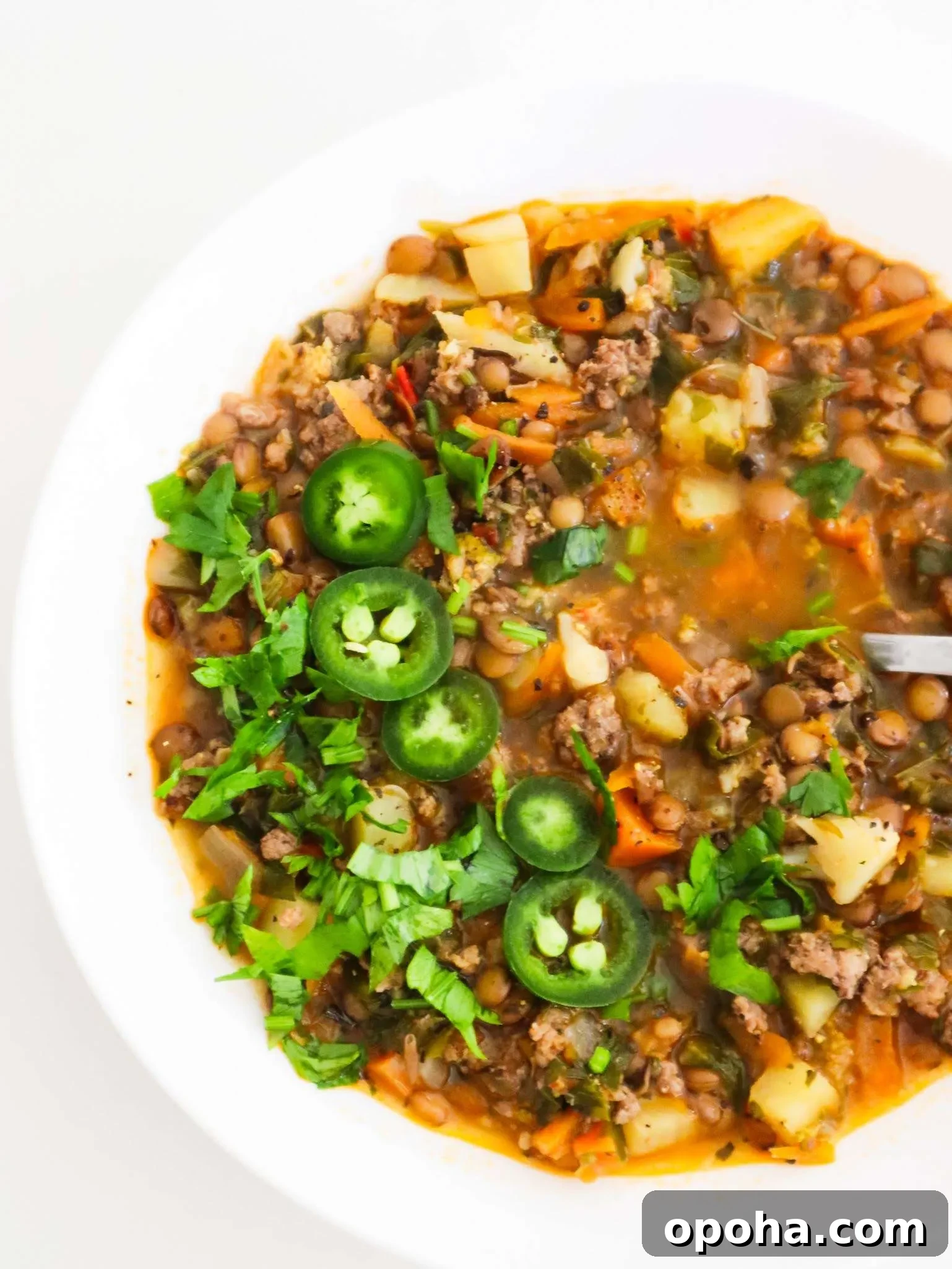 Ever wondered whether you can make a soup with lentils and beef? Well, now you know - this ground beef and lentil soup recipe exists and it's super good. It's easy to make and pretty healthy too, also very rich in two things: iron and protein!