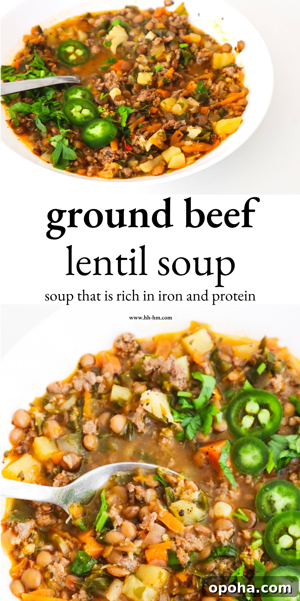 Ever wondered whether you can make a soup with lentils and beef? Well, now you know - this ground beef and lentil soup recipe exists and it's super good. It's easy to make and pretty healthy too, also very rich in two things: iron and protein!