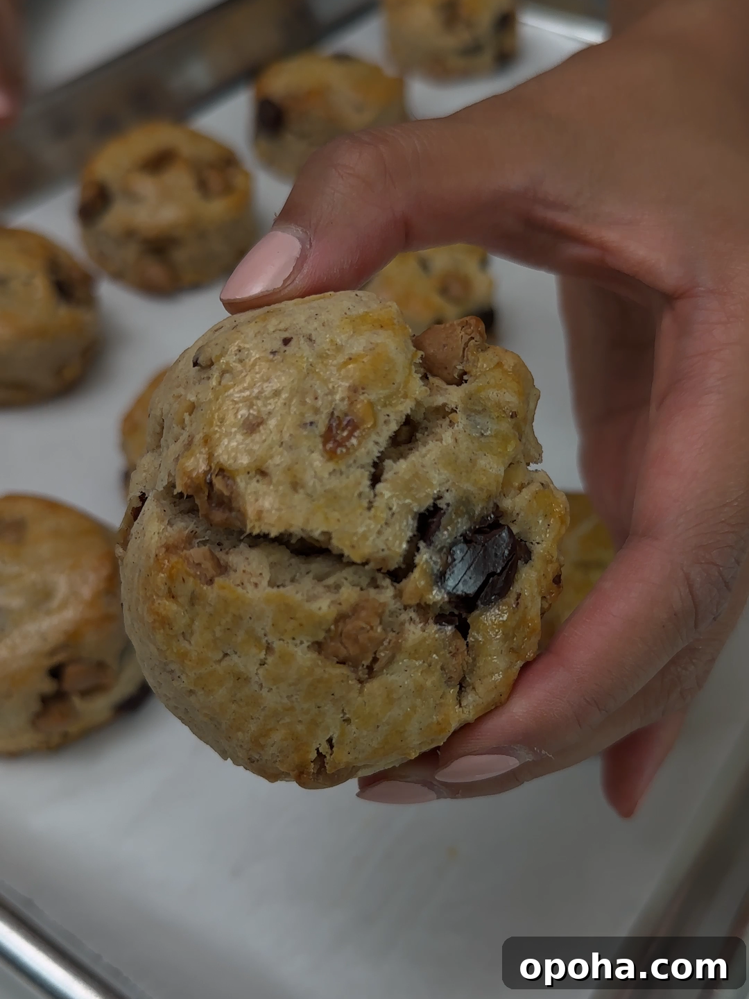 Salted Caramel Chocolate Walnut Scones — Kylie’s Birthday Recipe 2 img 8631 1