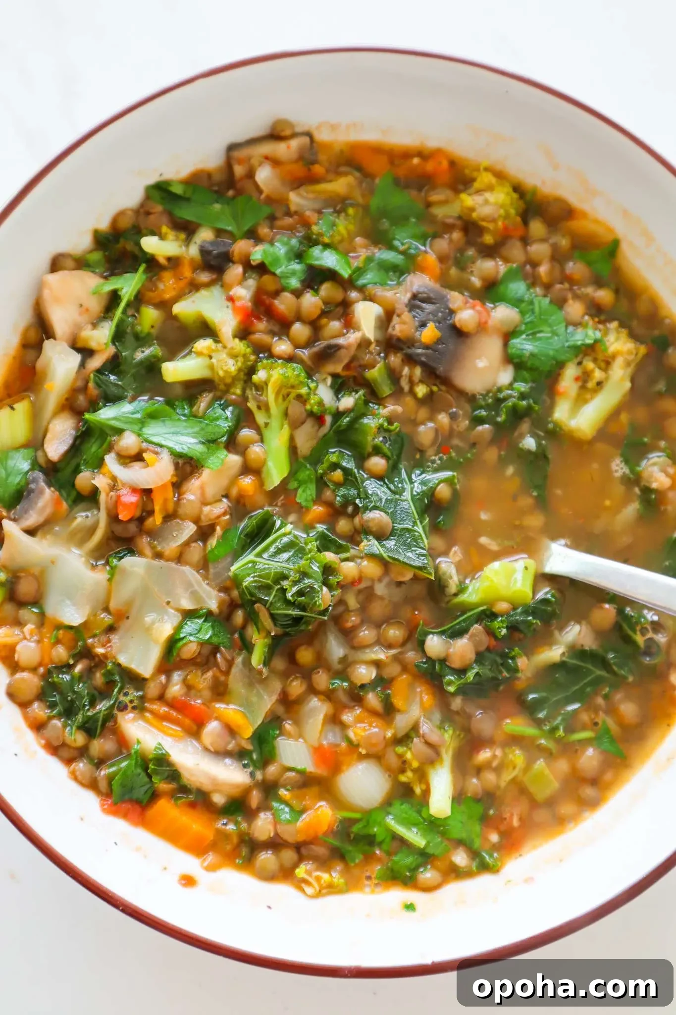 Lentil vegetable soup
