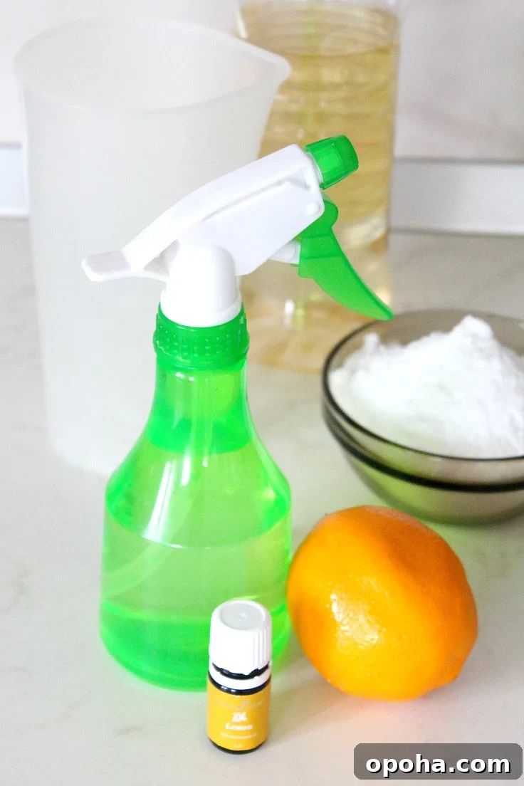 DIY Lemon Disinfectant Spray for a Fresh, Germ-Free Home 4 Homemade disinfectant