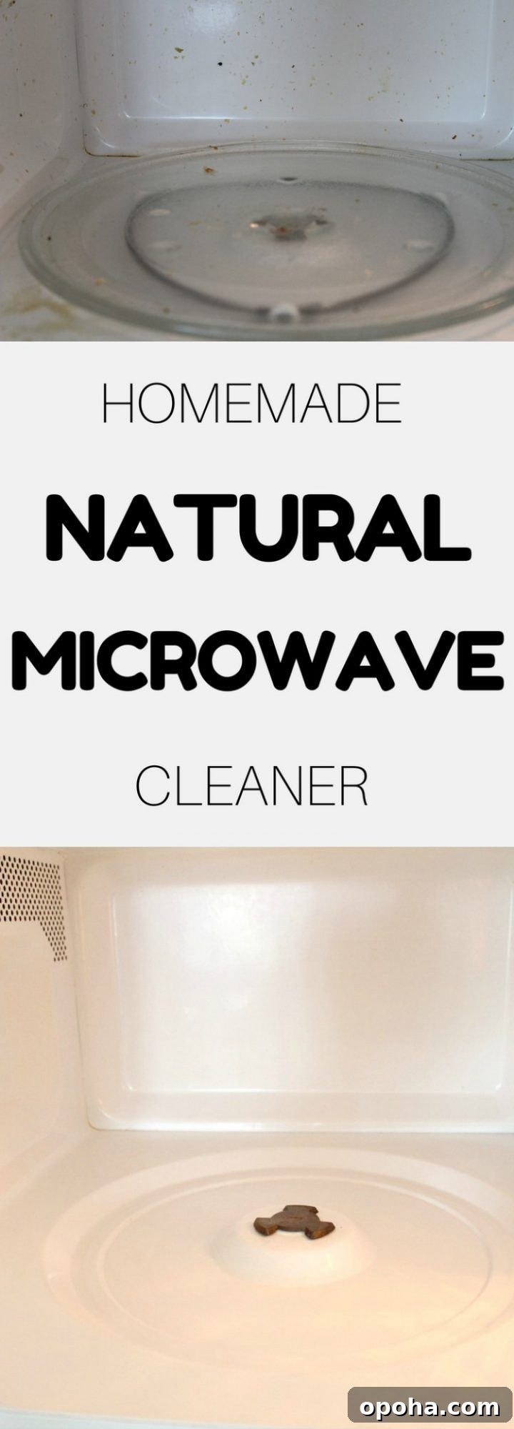 DIY Lemon Disinfectant Spray for a Fresh, Germ-Free Home 9 Natural way to clean microwave