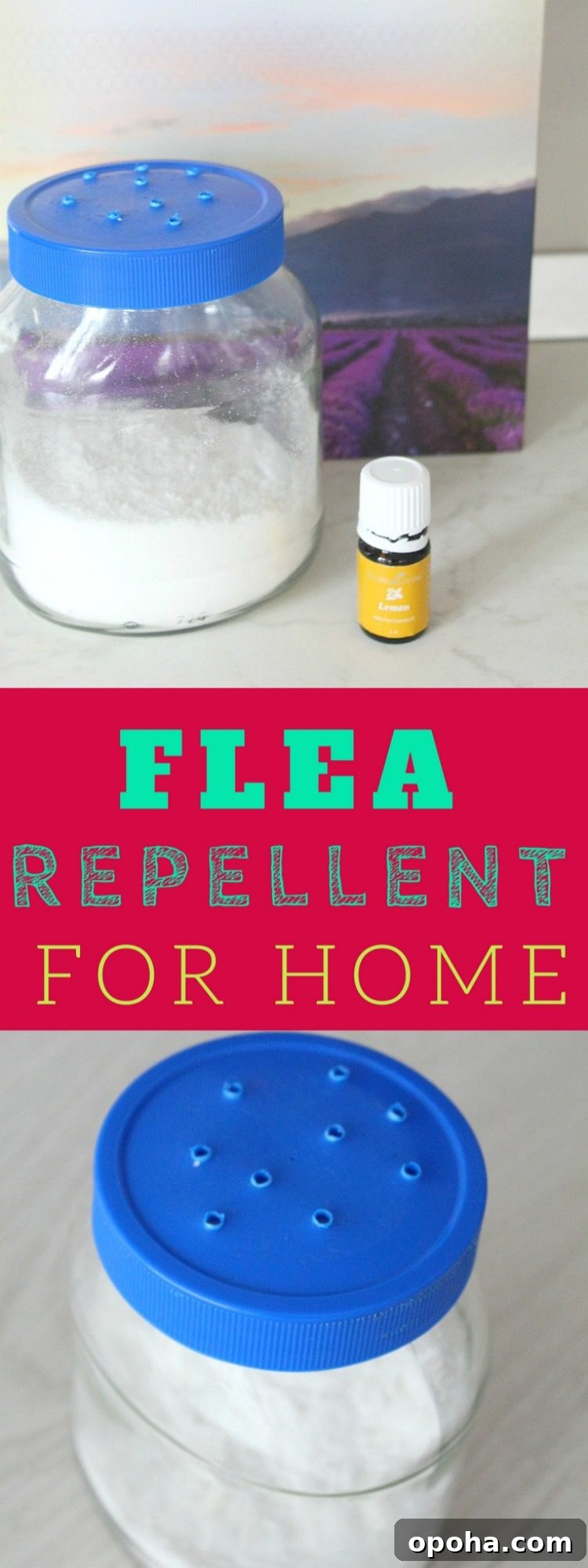DIY Lemon Disinfectant Spray for a Fresh, Germ-Free Home 10 Homemade flea repellent for your home