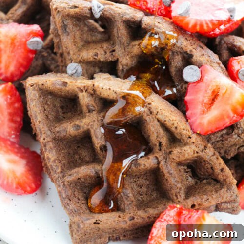 Chocolate Cake Waffles