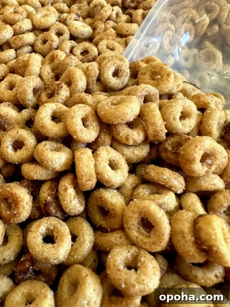 a delicious mound of buttery, crunchy cinnamon sugar fried Cheerios