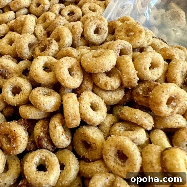 cinnamon sugar fried Cheerios