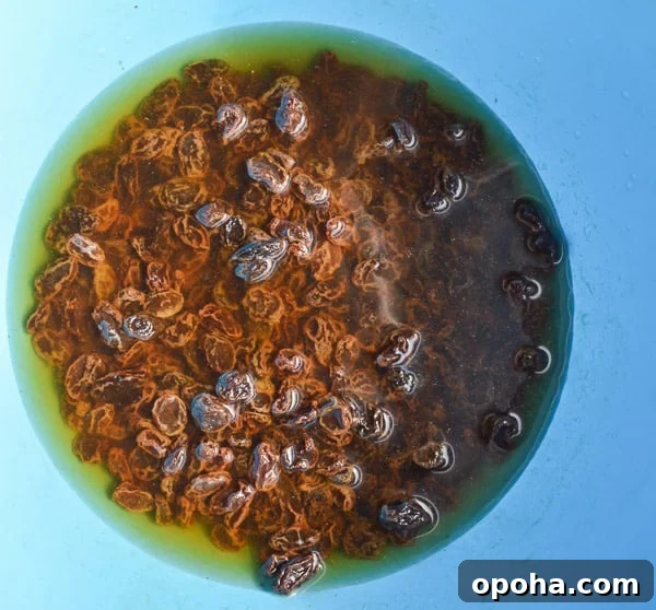 Traditional Irish Barmbrack Recipe for Perfect Fruit Tea Bread 5 Raisins soaking in liquid in a blue bowl