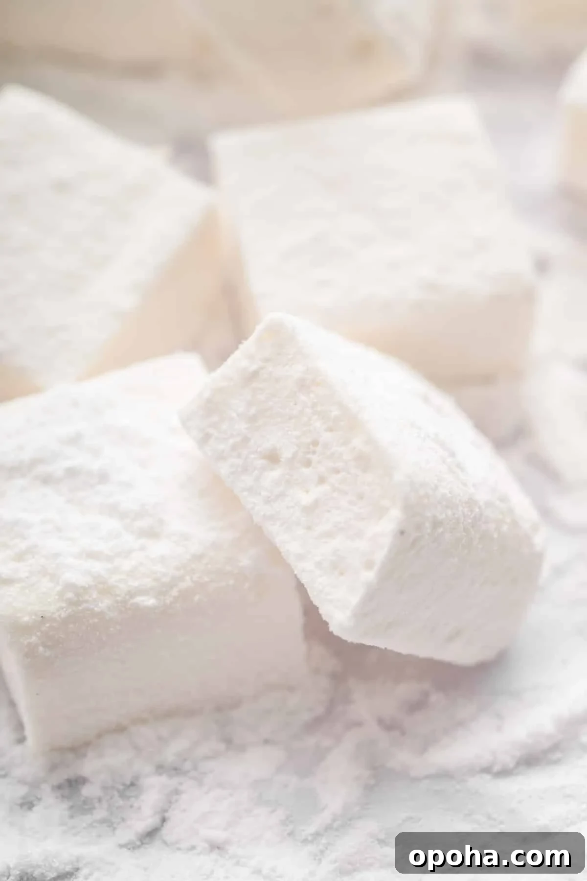 How to Make Homemade Marshmallows from Scratch: Fluffy Recipe 12 Macro image of square homemade marshmallow.