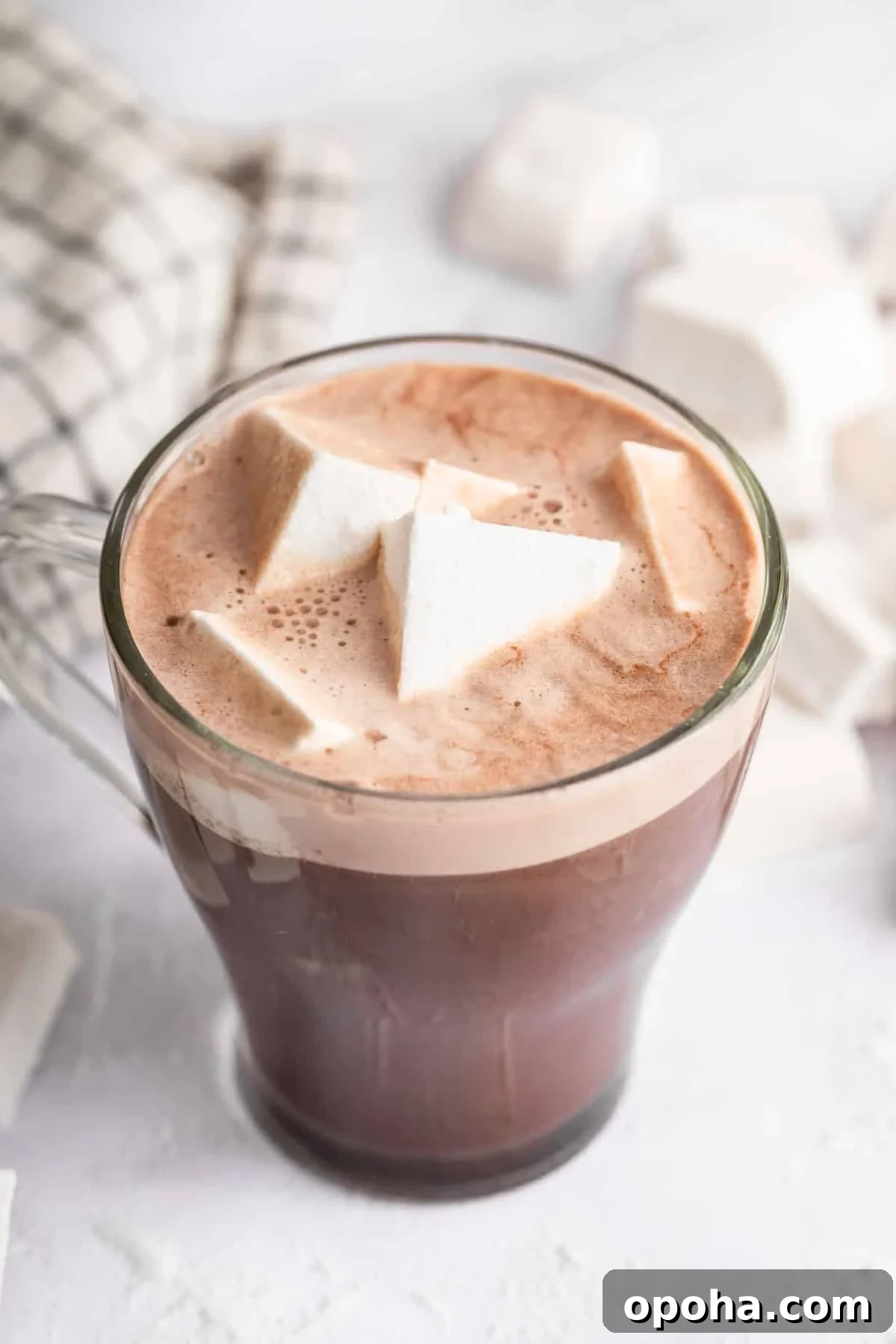 How to Make Homemade Marshmallows from Scratch: Fluffy Recipe 13 Mug of hot cocoa with homemade marshmallows on top.