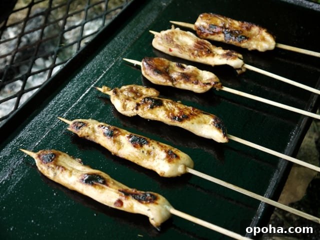 Sweet Chili Chicken Skewers Recipe — Zesty Grilled Marinade 7 Asian Inspired Street Food