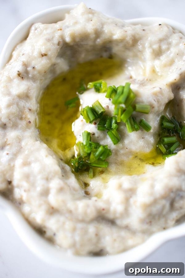 Greek Appetizers - Melitzanosalata