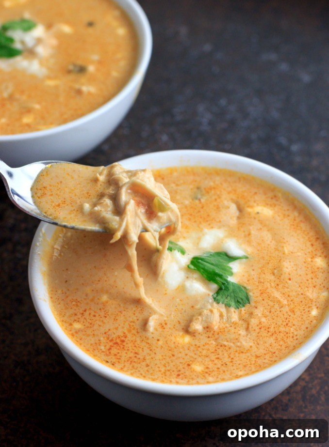 Instant Pot Low-Carb Chicken Queso and Salsa Soup 2 Low Carb Instant Pot Chicken Salsa Queso Soup- low carb, keto and gluten free. Also includes slow cooker directions.