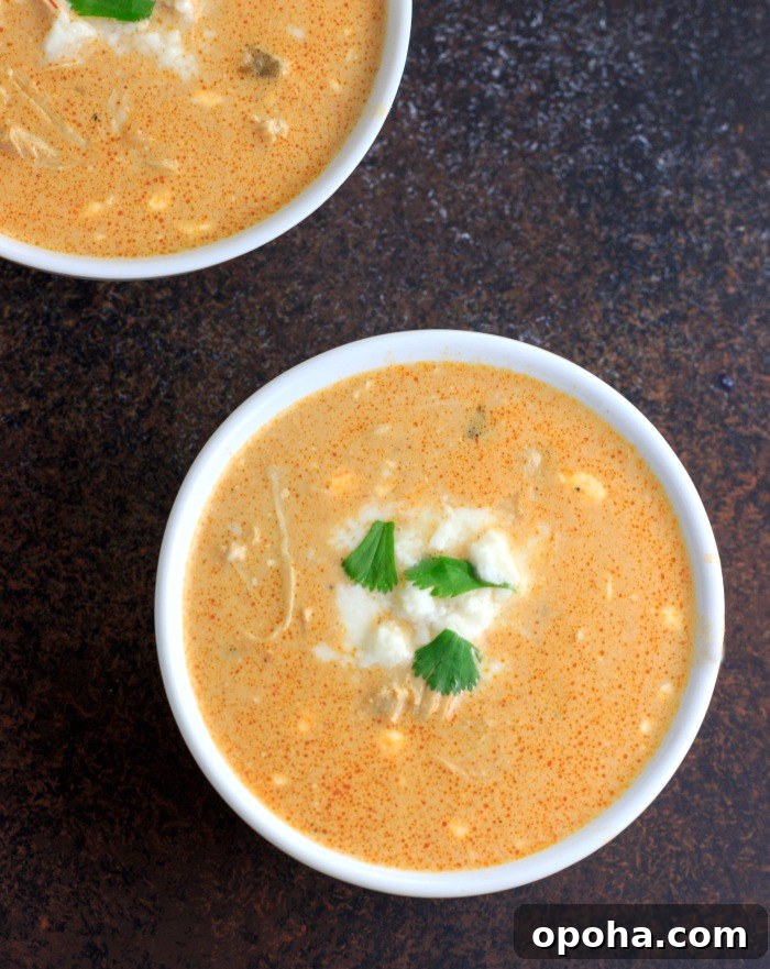 Instant Pot Low-Carb Chicken Queso and Salsa Soup 3 Low Carb Instant Pot Chicken Salsa Queso Soup- low carb, keto and gluten free. Also includes slow cooker directions.