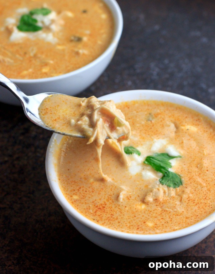 Instant Pot Low-Carb Chicken Queso and Salsa Soup 5 Low Carb Instant Pot Chicken Salsa Queso Soup- low carb, keto and gluten free. Also includes slow cooker directions.
