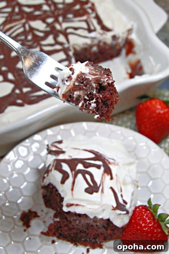 Every bite has rich chocolate cake, gooey mocha syrup, and whipped cream topping with ganache.